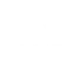 Spaziclean